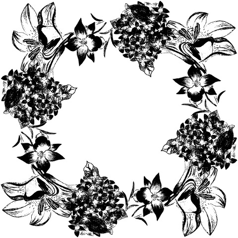 hydrangea-frame-flowers-nature-8487680