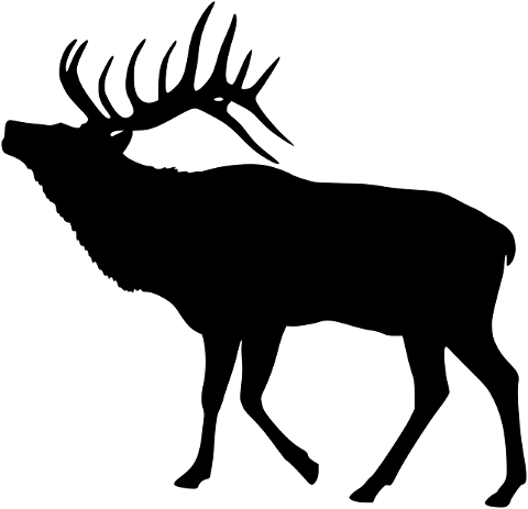 elk-deer-silhouette-animal-mammal-4154927
