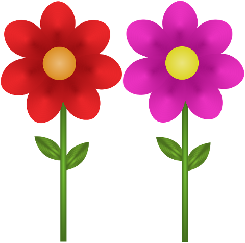 red-flower-violet-flower-floral-7314077