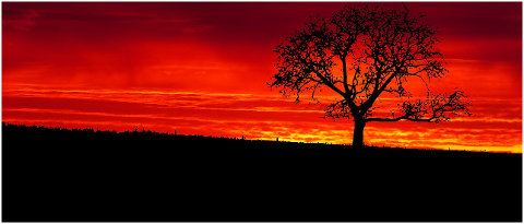 sunset-nature-landscape-sky-4320233