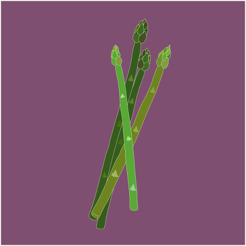 herb-botanical-spring-vegetable-5217978