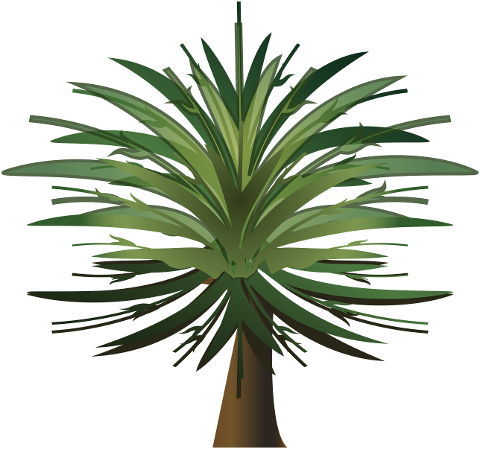 palm-tree-wood-paper-leaves-plant-4453178