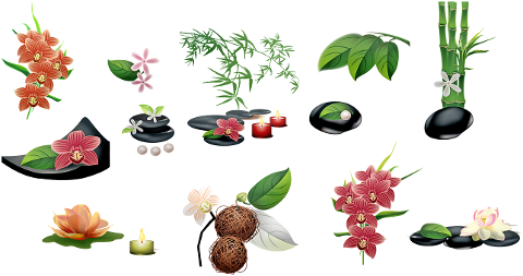 spa-items-stones-coconuts-massage-4567953