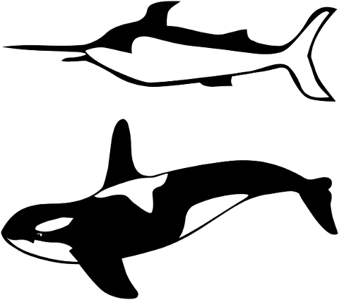 silhouette-aquatic-whale-swordfish-5464587