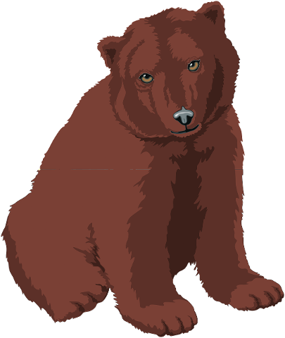 bear-pardo-coffee-brown-bear-4207498