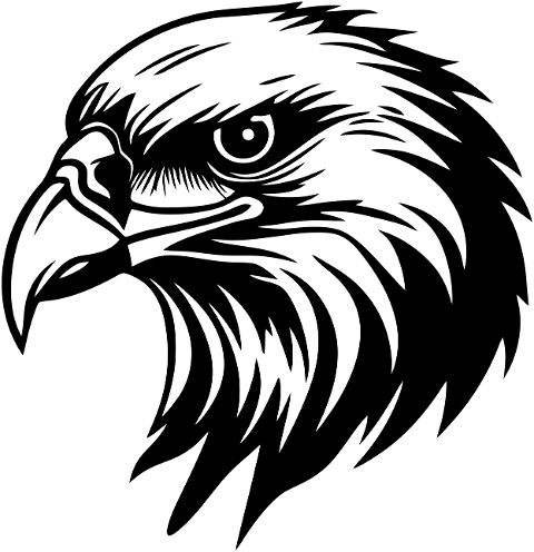 ai-generated-eagle-bird-wildlife-8495205