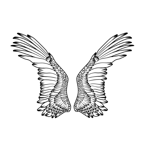 wings-angel-linear-angel-wings-5725819