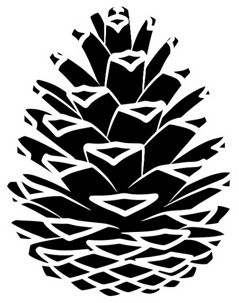 pine-cone-silhouette-botanical-9935066