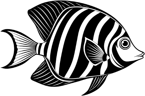 emperor-angelfish-fish-animal-8853410