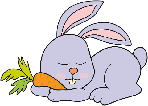 animal-rabbit-clip-art-carrot-6843651