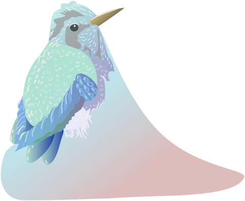 bird-hummingbird-art-ornithology-7077118
