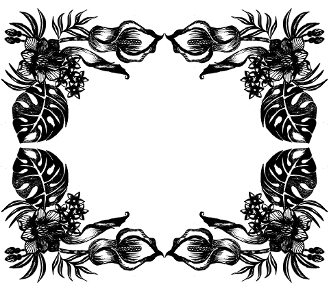 frame-border-kala-orchid-blade-6921938