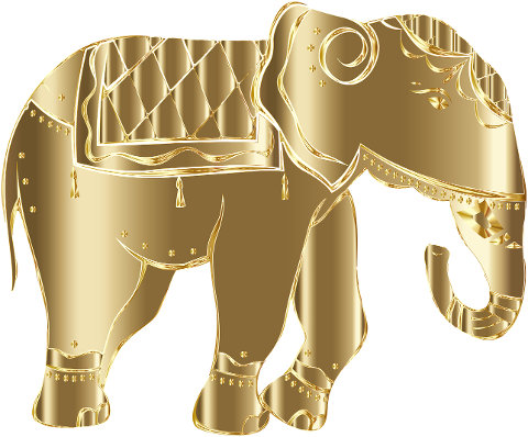 elephant-animal-pachyderm-trunk-6476526