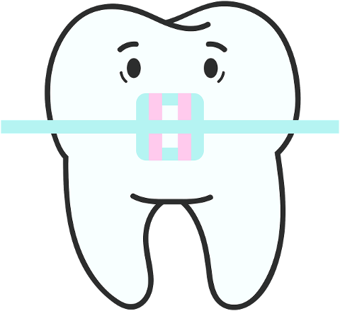 tooth-orthodontics-odontology-7845694