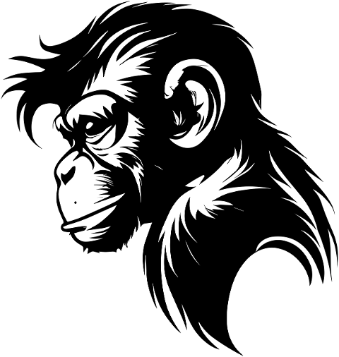 monkey-ape-primate-animal-7689558