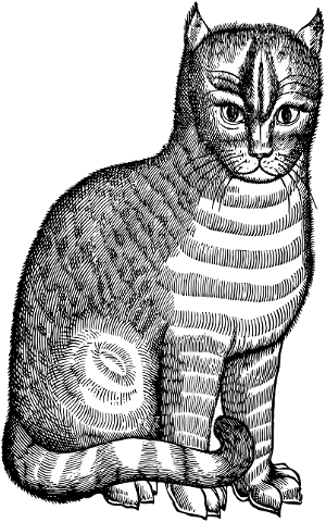 vintage-cat-line-art-feline-animal-4196656