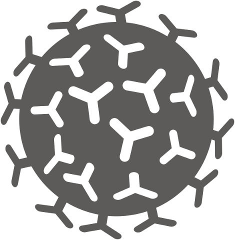 corona-virus-sars-cov-2-covid-19-4944188