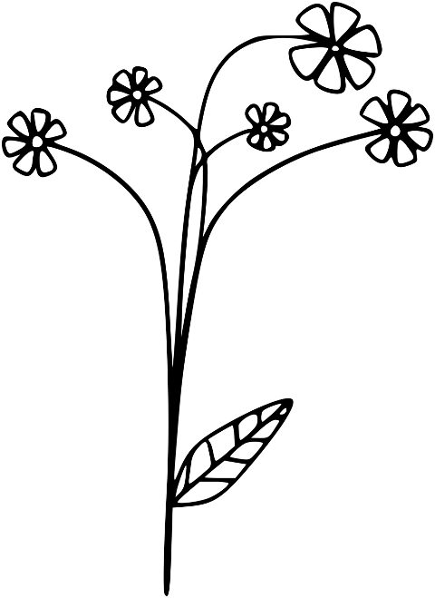 flower-daisy-blossom-nature-9135953