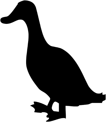 silhouette-bird-nature-dark-duck-4535343