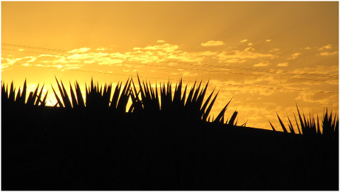 against-light-sunset-the-sun-5198616