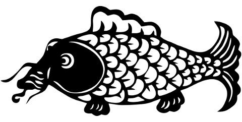 fish-koi-scales-fins-aqautic-5483014