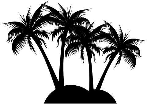 palm-trees-tropical-island-7150530