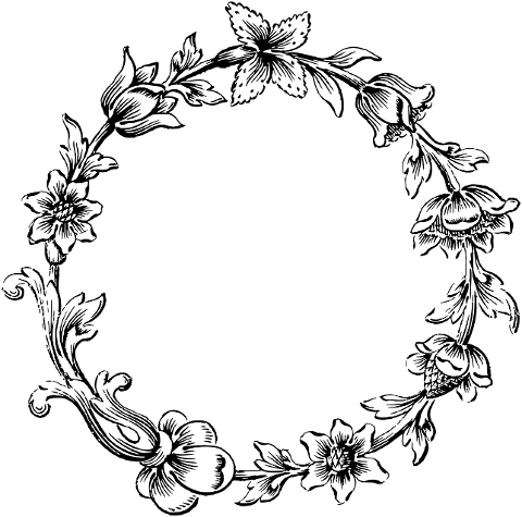 frame-border-flourish-line-art-7330296