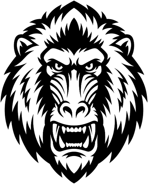 baboon-monkey-primate-mammal-wild-10027363