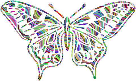 butterfly-animal-insect-wings-7656787