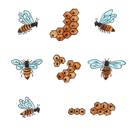 bees-insects-honeycomb-hymenoptera-6364475
