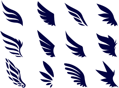 wings-plumage-feathers-flight-6588787