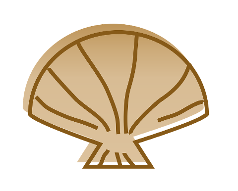 shell-beach-sea-art-simple-icon-10464726