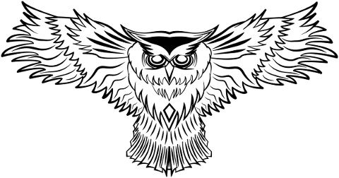 owl-raptor-bird-bird-of-prey-5818743