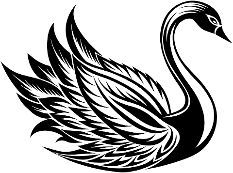 swan-bird-animal-ornithology-water-8799287