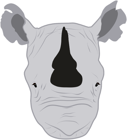 rhino-rhinoceros-horn-animal-5567480