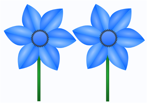 flowers-blue-flowers-bloom-decor-7224194