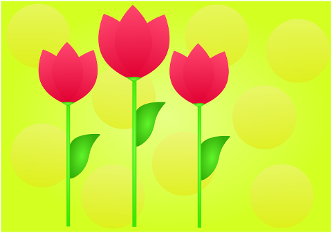 flowers-tulips-bloom-spring-7232546