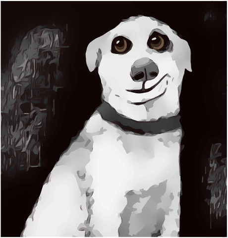 dog-pet-puppy-portrait-white-4156490