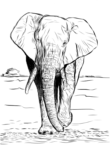 elephant-animal-sketch-5831456