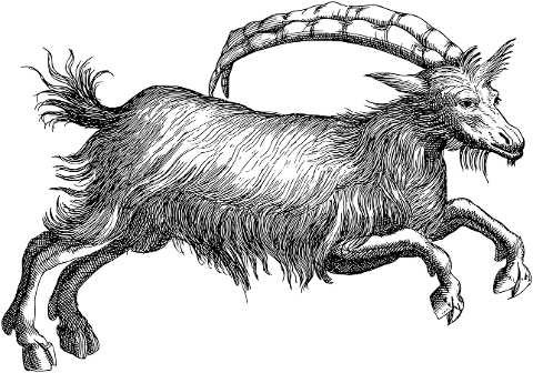 goat-animal-line-art-horns-vintage-7384688