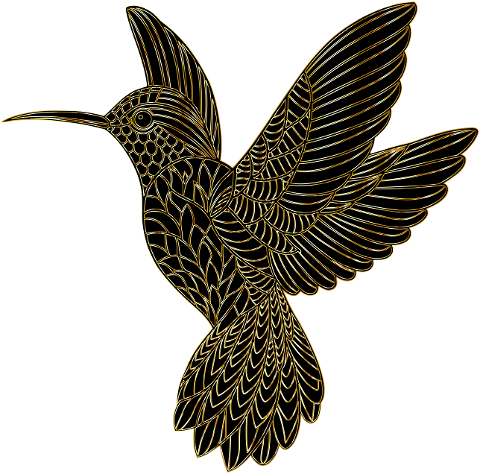 hummingbird-bird-animal-flying-8950177