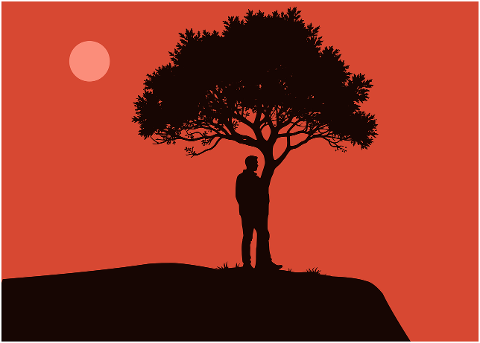 sunset-silhouette-tree-nature-9853671