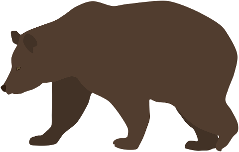 bear-brown-bear-animal-7405610