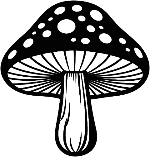 plant-dxf-plant-vector-dxf-file-8981860
