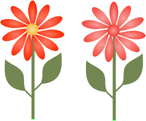 flowers-decoration-floral-9851609