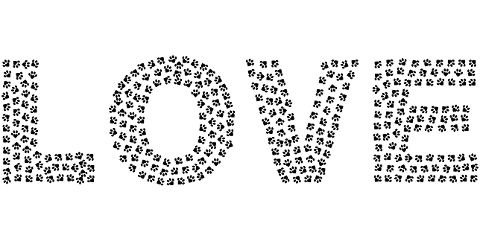 paws-love-typography-animals-8899962