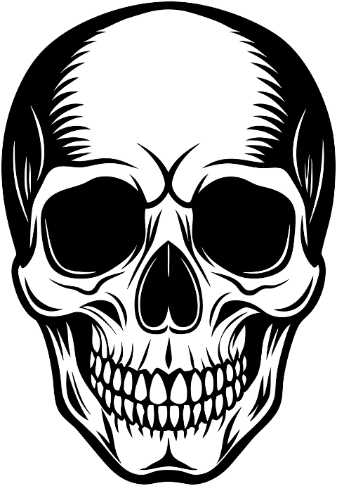 ai-generated-skull-skeleton-bones-8984202