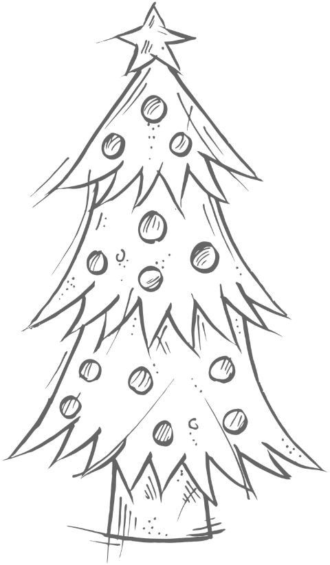 tree-star-christmas-advent-7630939