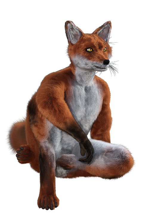 fox-sitting-fantasy-character-6297969