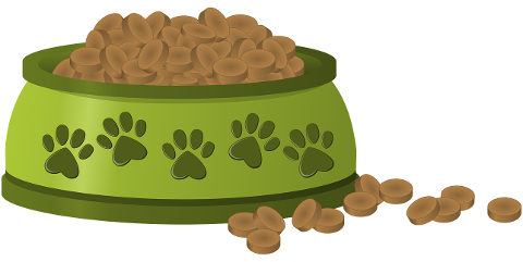 bowl-croquettes-cat-food-dog-food-8716346
